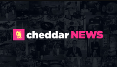 cheddar NEWS