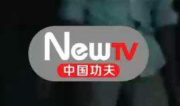 NewTV中国功夫